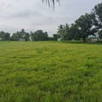 Polur Village