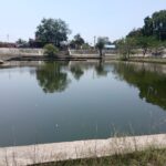 Pond
